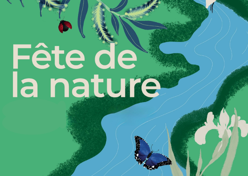 Commune de Montreux - Vue