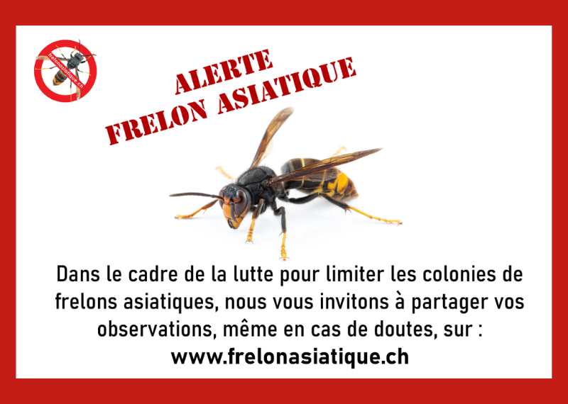 Commune de Montreux - Vue